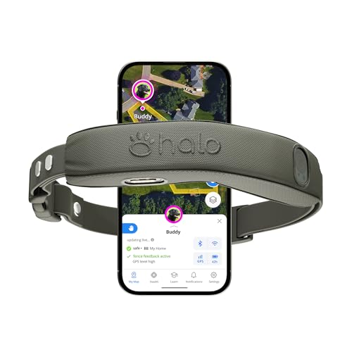Halo Collar 5 — GPS Wireless Dog Fence With Real-Time Tracking & Cesar Millan Training