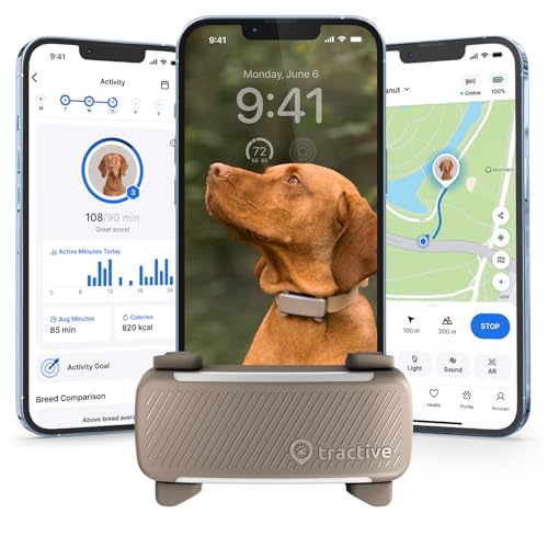 Tractive DOG 6 GPS Tracker — Live Tracking, Virtual Fences & Health Alerts for Your Dog