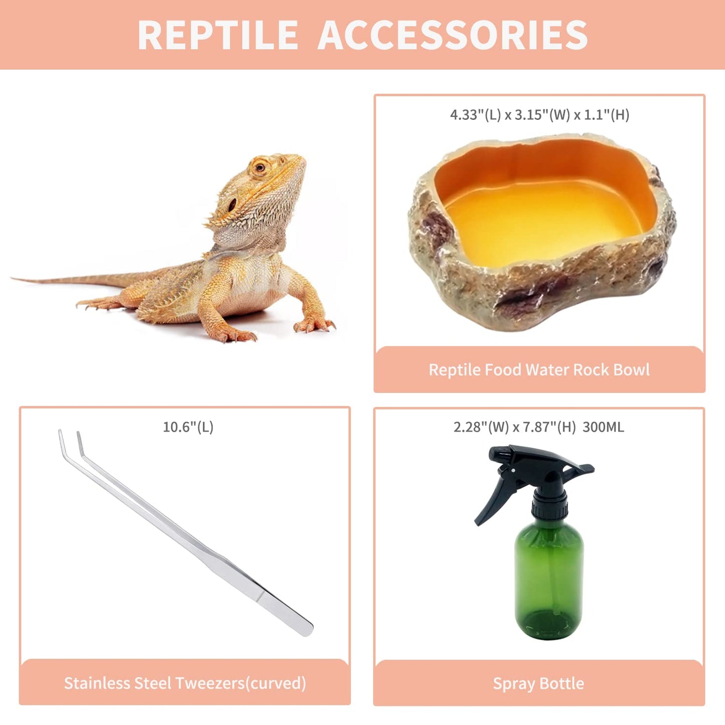 Mini Reptile Terrarium Set 12" x 7"x 6" for Fish, Reptile, and Insects