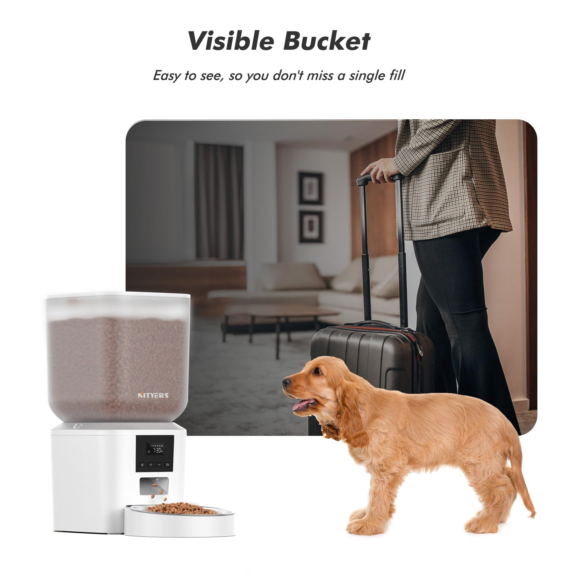 Automatic Cat Feeder - Timed, large capacity, 6 meals/day, featuring an LCD screen for easy programming.