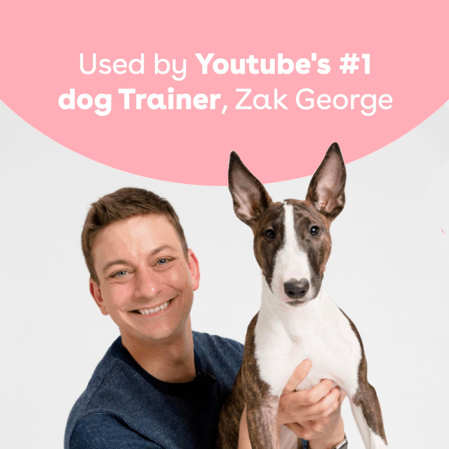 Pupford Dog Training Treats – 4oz Bag, 475+ Tasty Beef Liver Bites for Obedience & Rewards.