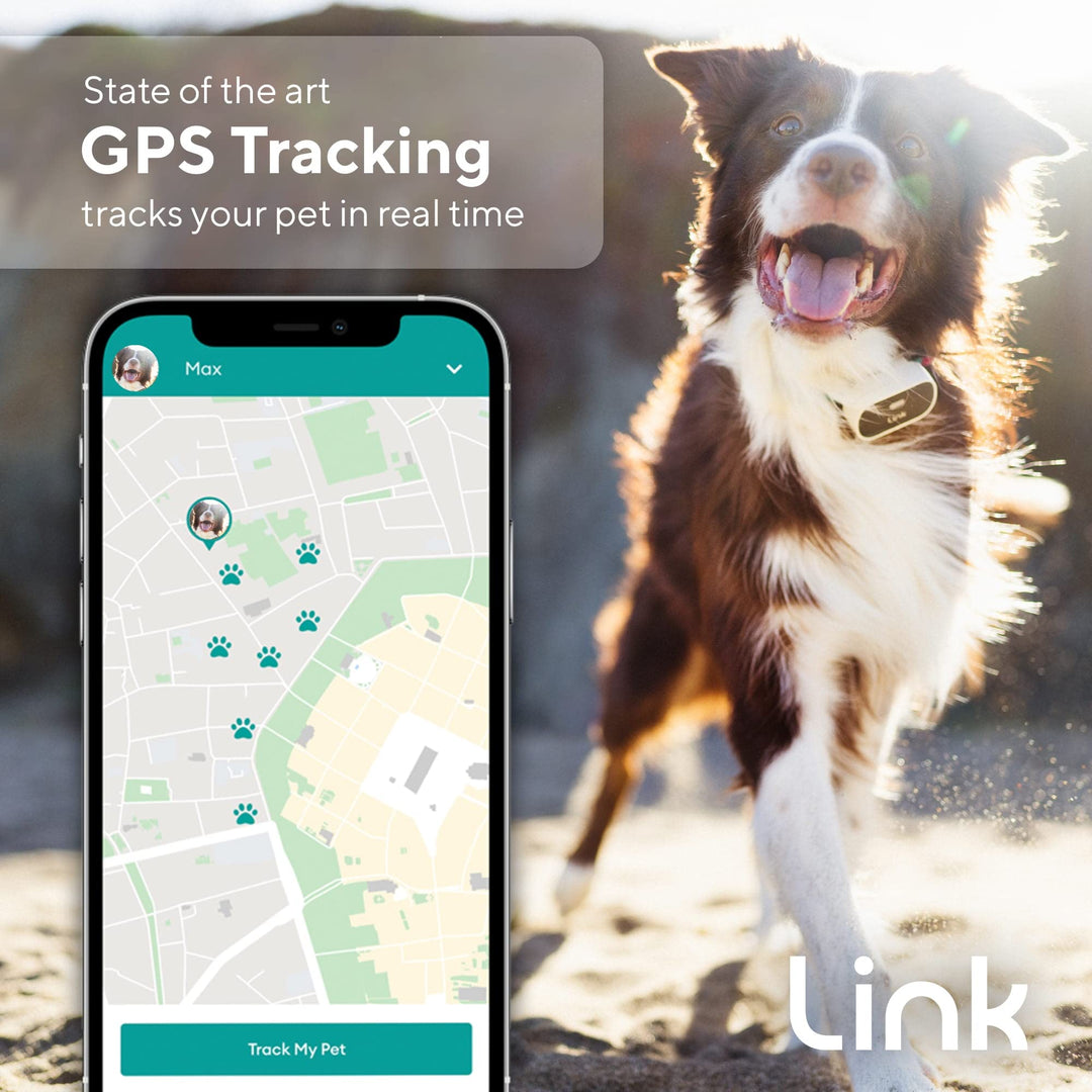 Link GPS Dog Tracker + Activity Monitor | Training Tools, Health Tracker, Waterproof