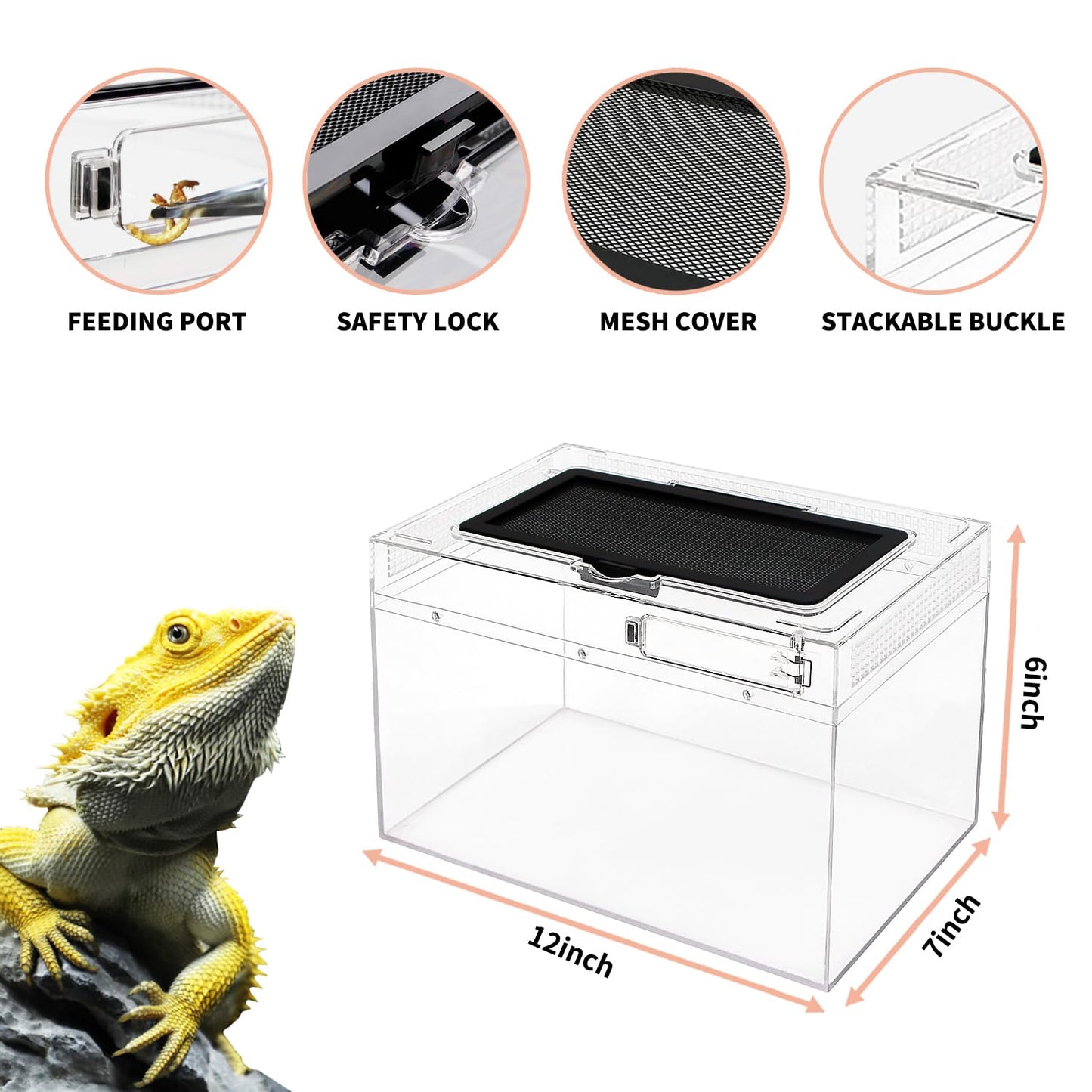 Mini Reptile Terrarium Set 12" x 7"x 6" for Fish, Reptile, and Insects