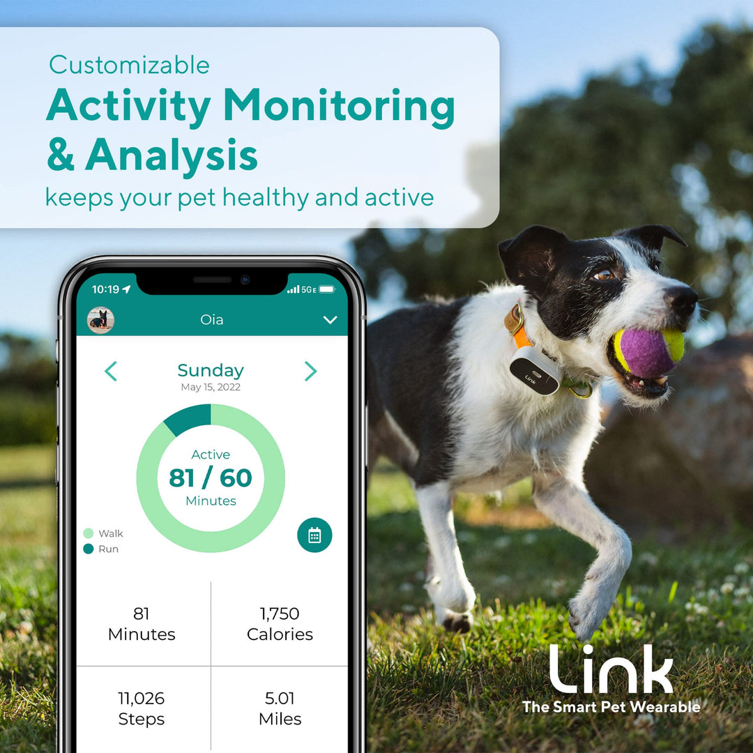 Link GPS Dog Tracker + Activity Monitor | Training Tools, Health Tracker, Waterproof