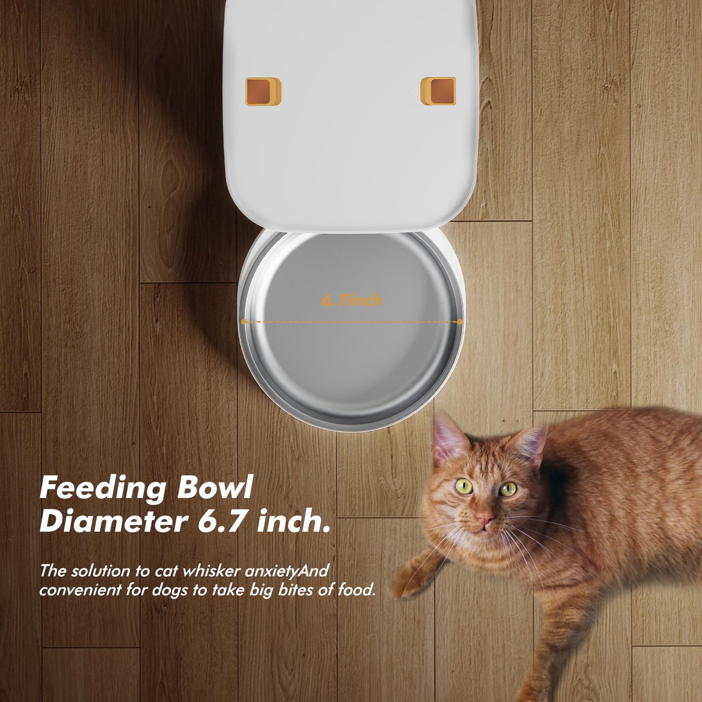 Automatic Cat Food Dispenser - Large Capacity, Timed, 6 Meals/Day, LCD Screen