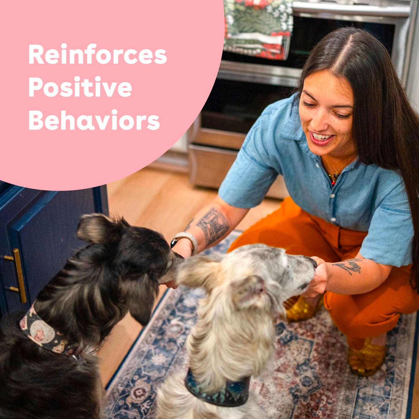 Pupford Freeze-Dried Training Treats - Beef Liver, 4oz, 475+ Bites