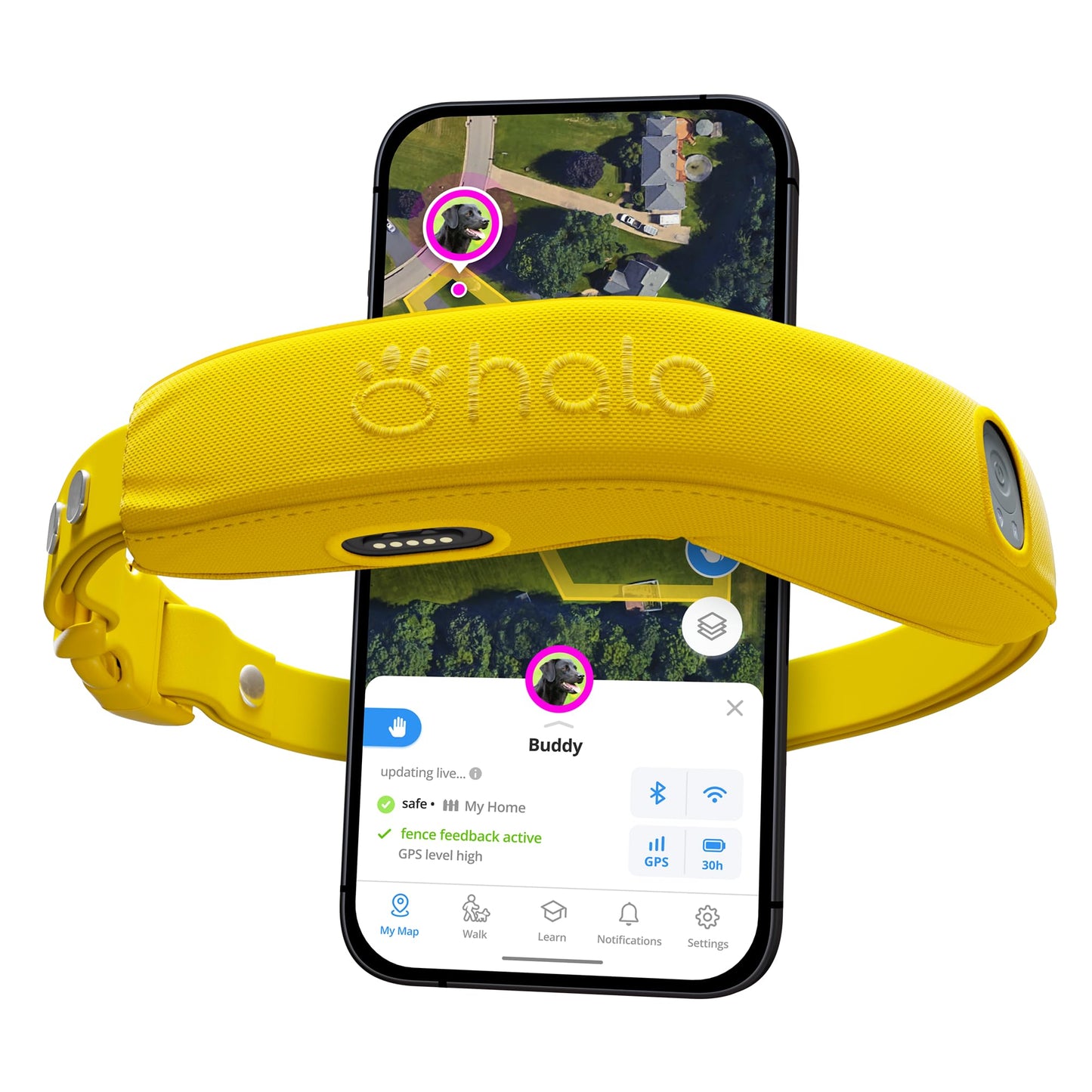 Halo Collar 4 – GPS Wireless Dog Fence and Training Collar for Dogs-Sunburst color