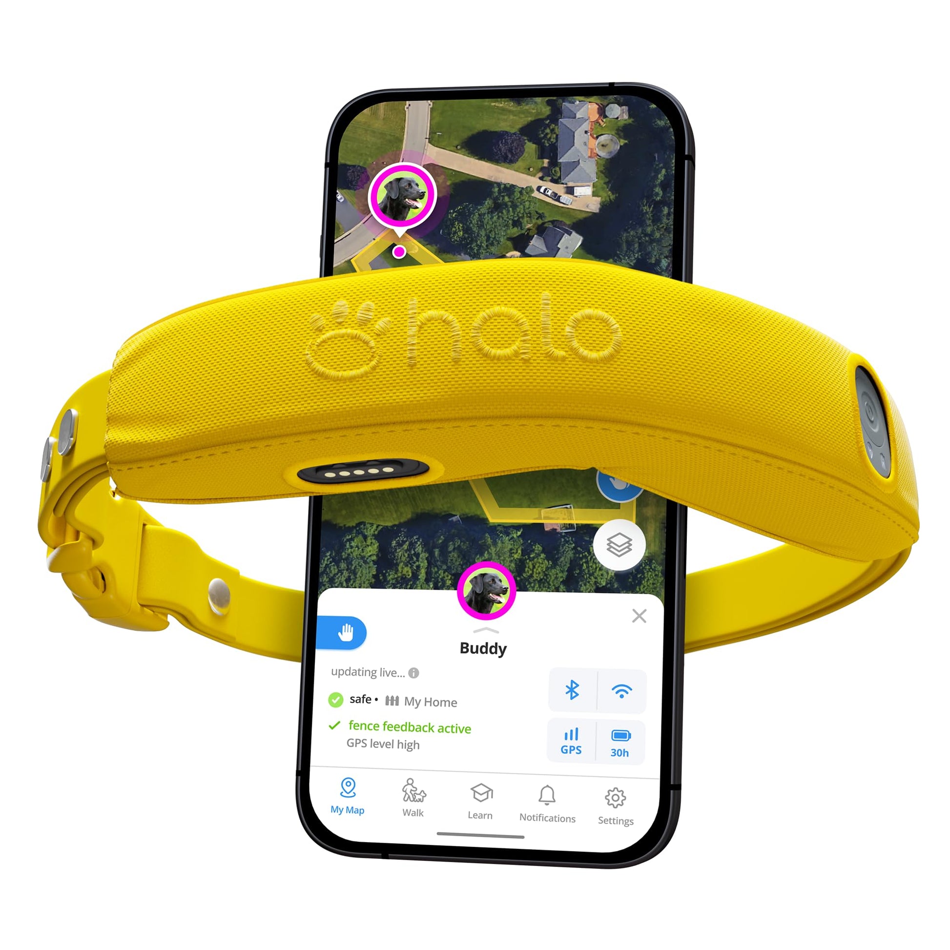 Halo Collar 4 – GPS Wireless Dog Fence and Training Collar for Dogs-Sunburst color