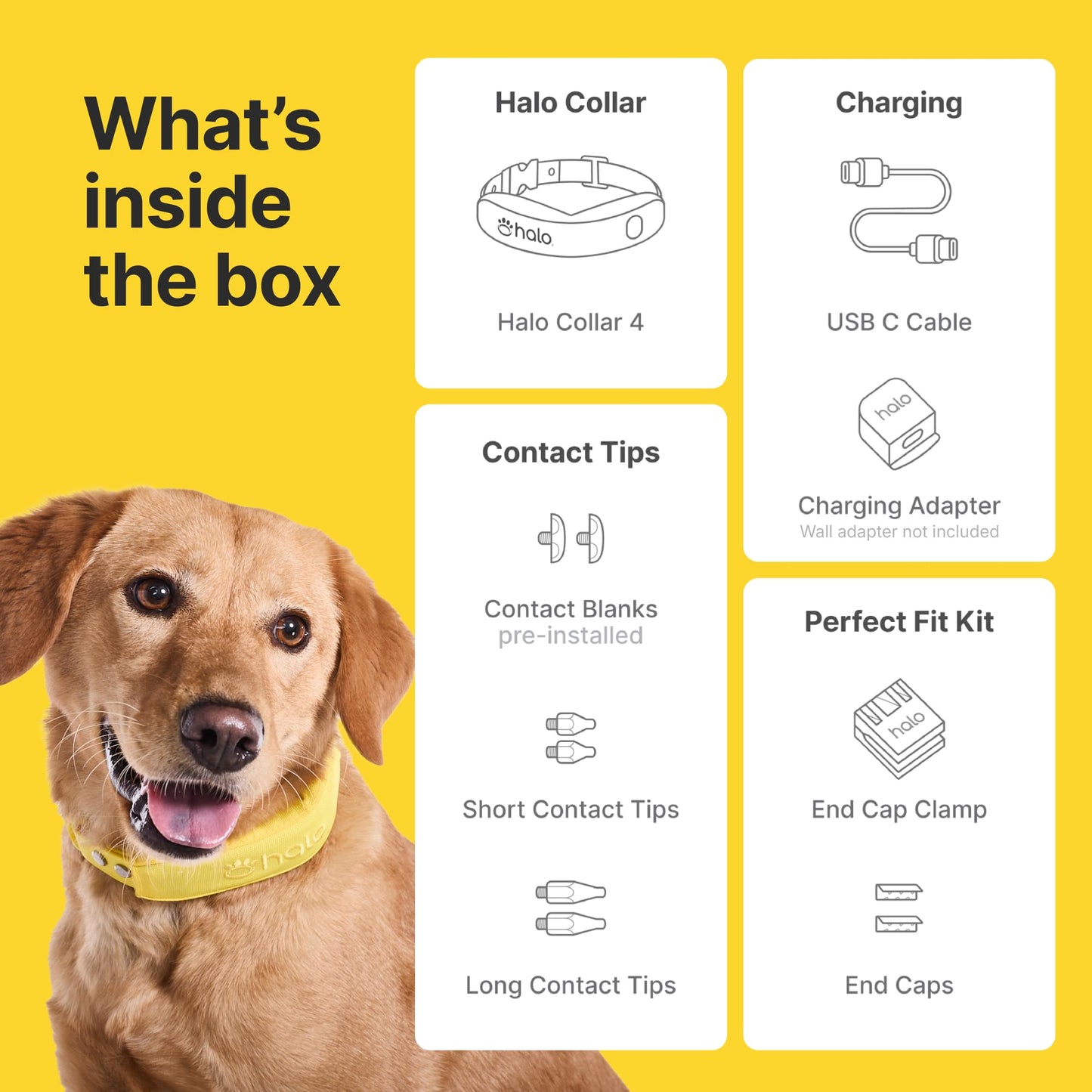 Wireless dog fence system with no digging or physical wires