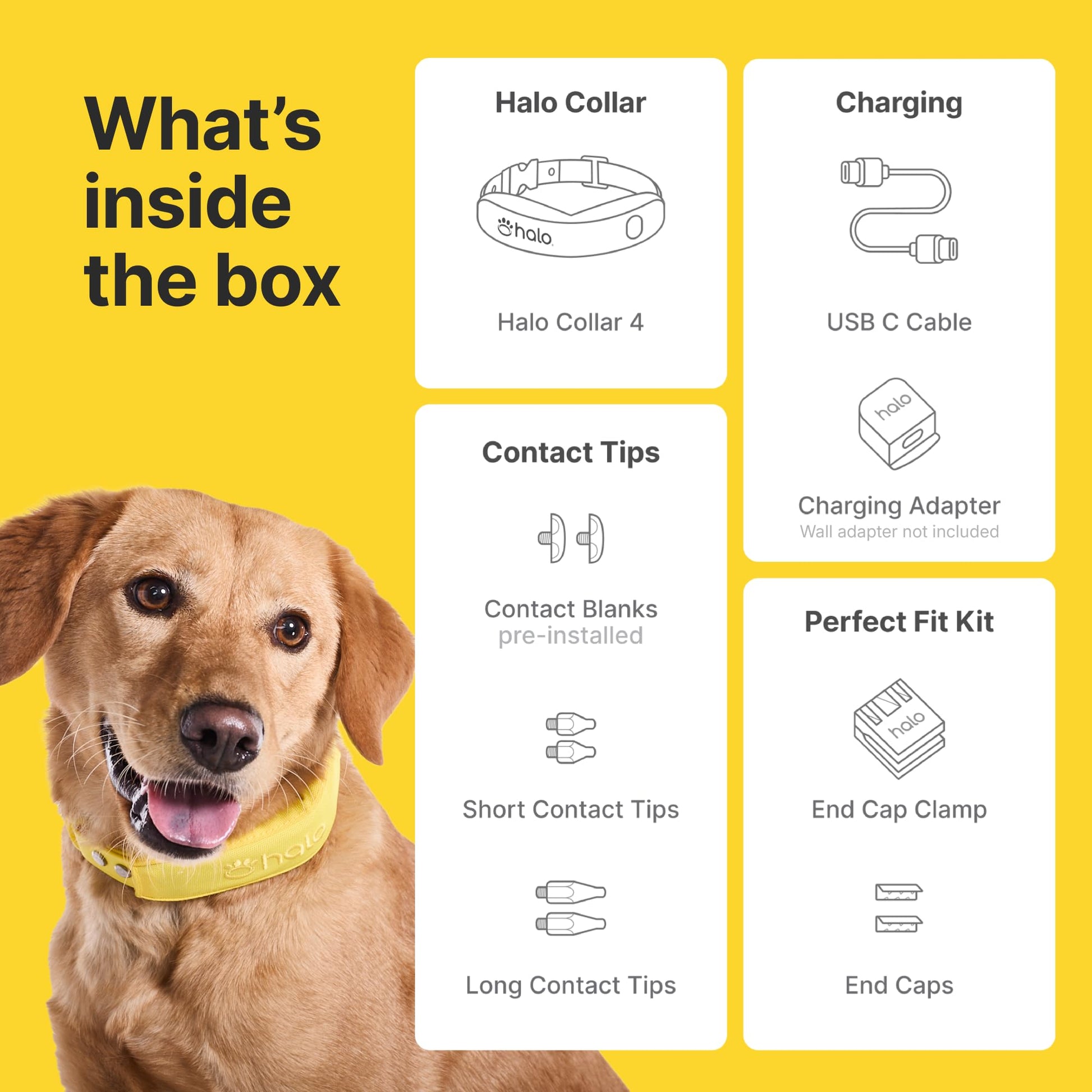 Wireless dog fence system with no digging or physical wires