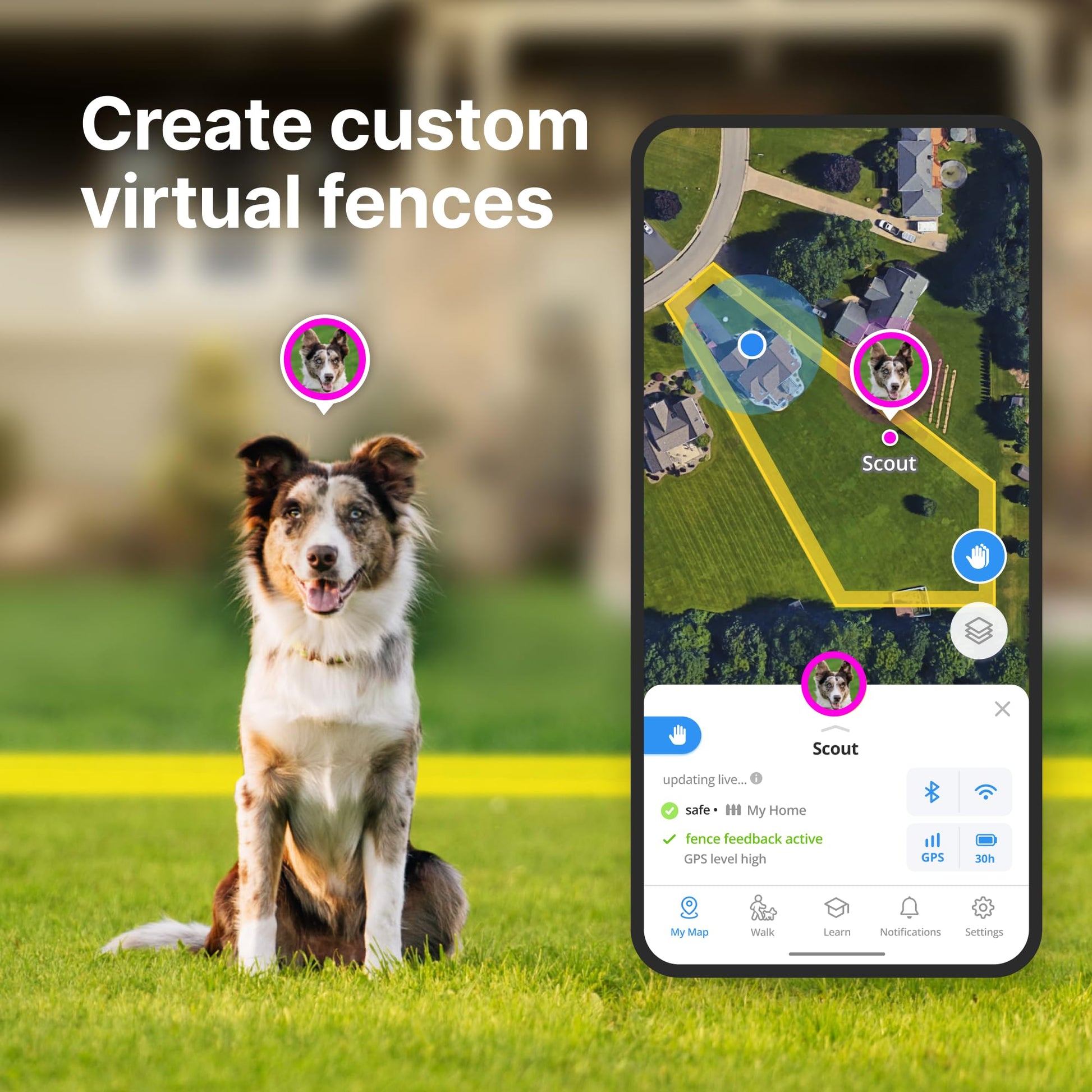 dog training collar with real-time GPS tracking with virtual dog fence