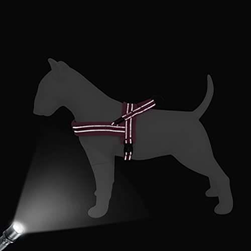 Didog No-Pull Dog Harness – Soft flannel padding, lightweight, and reflective for safety. Easy quick-fit design for hassle-free walking and training!