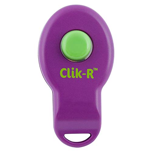 PetSafe Clik-R Training Clicker - Precise Click Sound for Effective Obedience Training.