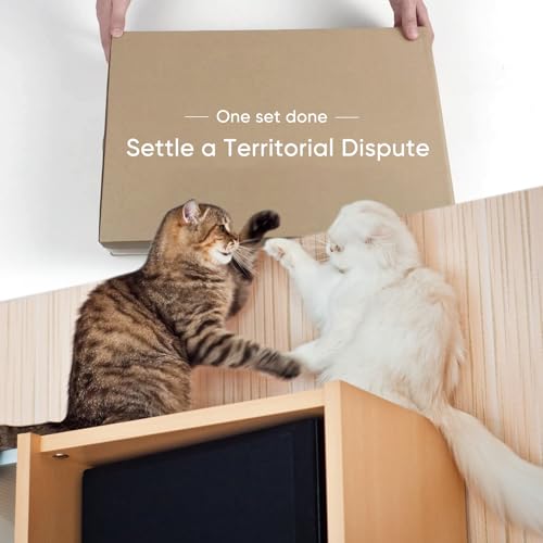 Cat Climbing Wall Frame - 5-Piece Furniture Set for Active Cats.