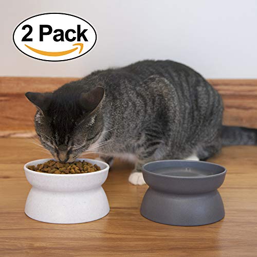 Kitty City Raised Cat Feeder & Waterer - Elevated Bowls for Stress-Free Eating and Drinking.
