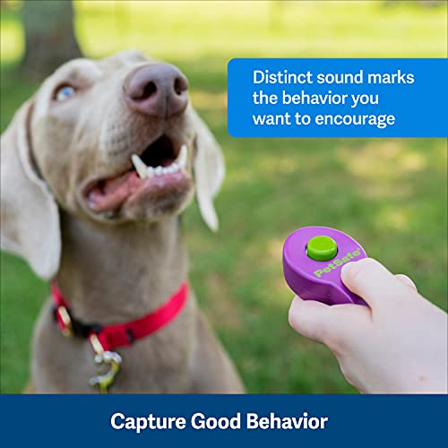 PetSafe Clik-R Dog Training Clicker - Purple