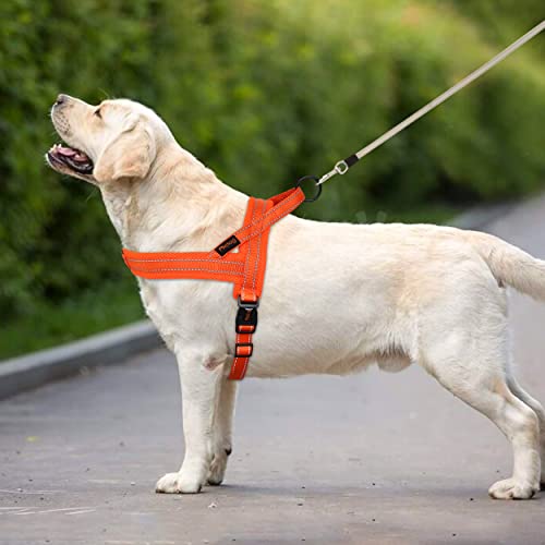 Didog Soft Mesh Padded Dog Vest Harness,Escape Proof/Quick Fit Reflective Dog Strap Harness, Easy for Training Walking (XS:Chest 15-18", Orange)
