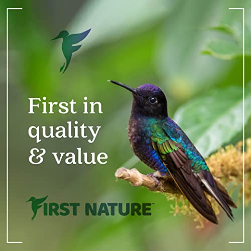 Hummingbird Feeder in Red - Ideal for birdwatching, featuring colorful flowers and a generous nectar capacity.