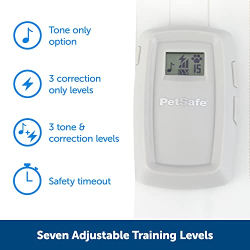 ScatMat Indoor Training Mat - Sofa Size (60" x 12")