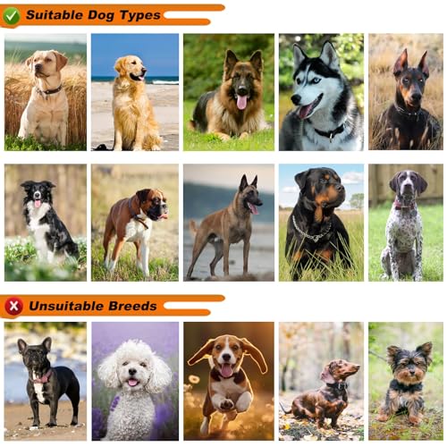 Tactical Dog Harness with Handle, No Pull Adjustable Military Heavy Duty Dog Harness, Chew Proof Dog Harness with All-Metal Buckle with 6 PCS Patch and Carry Pouch (Large, Coyote Brown)