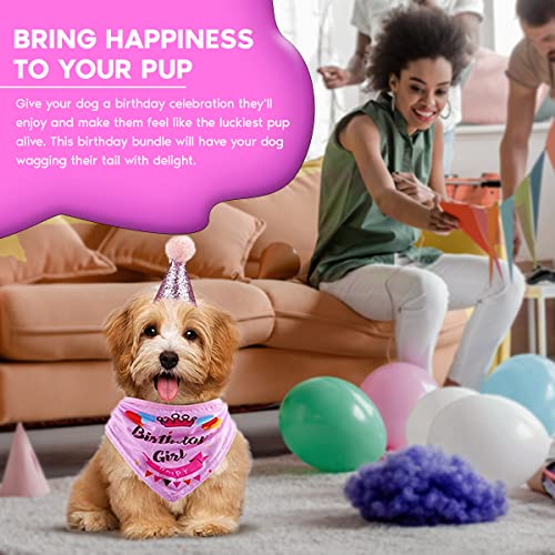 8-Piece Dogs Deserve It Girl Dog Birthday Party Kit - Perfect for Your Pup's Special Day.
