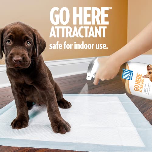 PetCare Go Here Attractant Dog Training Spray - 32 oz