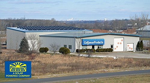 Cat Dancer 101 Brown Interactive Cat Toy - Fun, Stimulating Exercise for Cats.