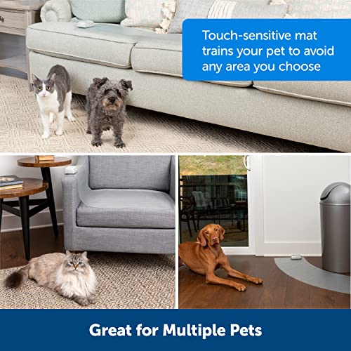 ScatMat Indoor Training Mat - Sofa Size (60" x 12")