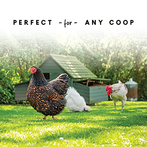 White free-range feeder with visible feed level for easy monitoring