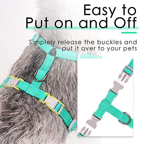 ThinkPet Reflective Breathable Soft Air Mesh No Pull Puppy Choke Free Over Head Vest Harness for Puppy Small Medium Dogs and Cats Teal Small