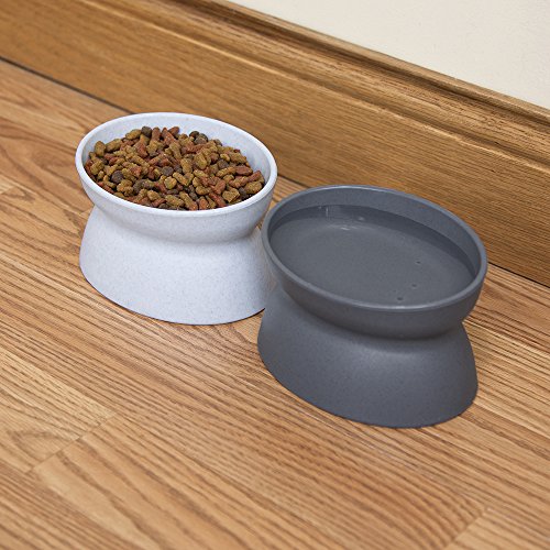 Kitty City Elevated Cat Food & Water Bowl Set - Stress-Free Feeding for Cats with Easy Access.