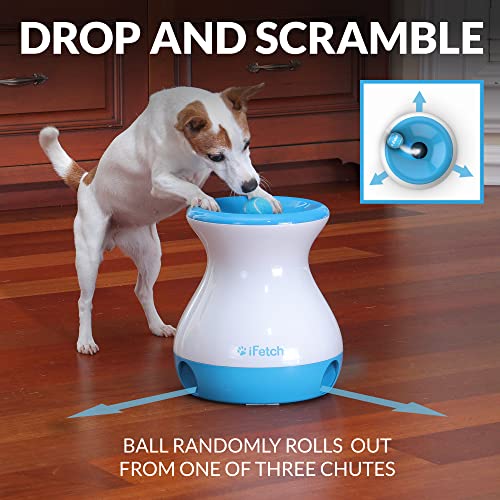 iFetch Frenzy โ Non-electric brain game for small dogs! Drop the ball, watch it roll randomly, and keep your pup engaged. No power needed, just fun! ๐พ๐ถ