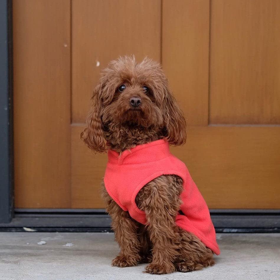 Pumpkin Fleece Dog Vest with Leash Ring - Large