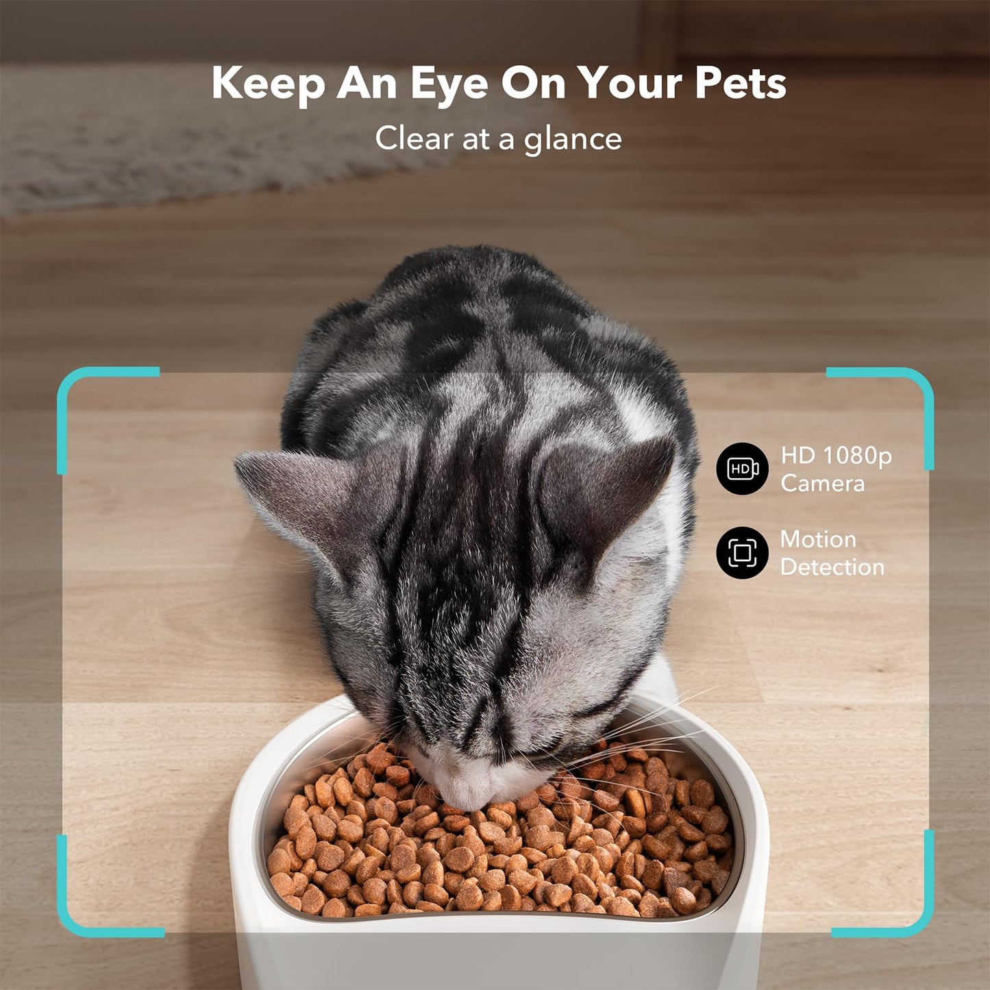 PETLIBRO Automatic Cat Feeder - 1080P Camera, 5G WiFi, 2-Way Audio, Motion Alerts