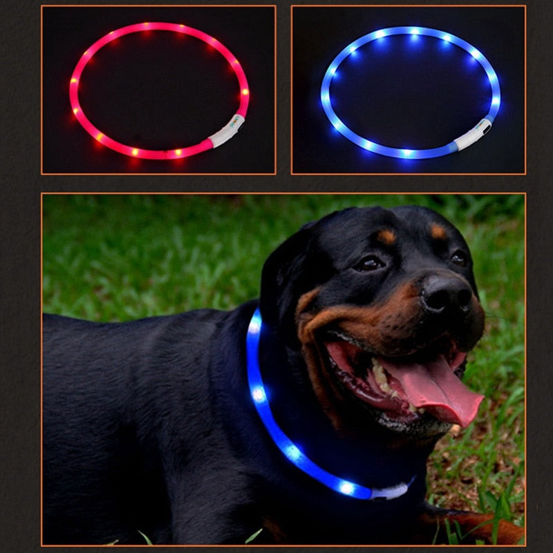 Pet Waterproof USB Rechargeable Collar LED Light - Shopper Bear Store