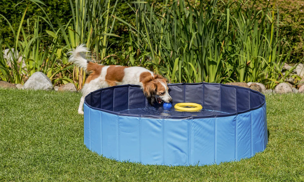 1Pc 160 X 160 X 30Cm-63.0 X 63.0 X 11.8Inch Foldable Pet Swimming Pool PVC Dog Swim Pool Bathing Tub Playmat Pools