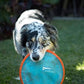 Chuckit! Paraflight Flying Disc Dog Toy, Small (6.75")