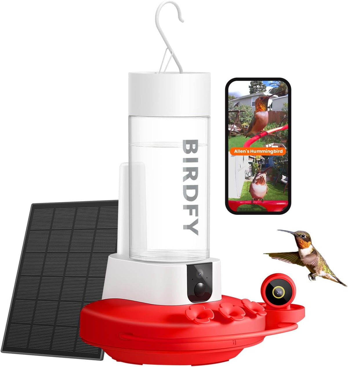 Birdfy Hummingbird Feeder With Camera (Solar, 14 oz) — Hummingbirds Up Close, All Year