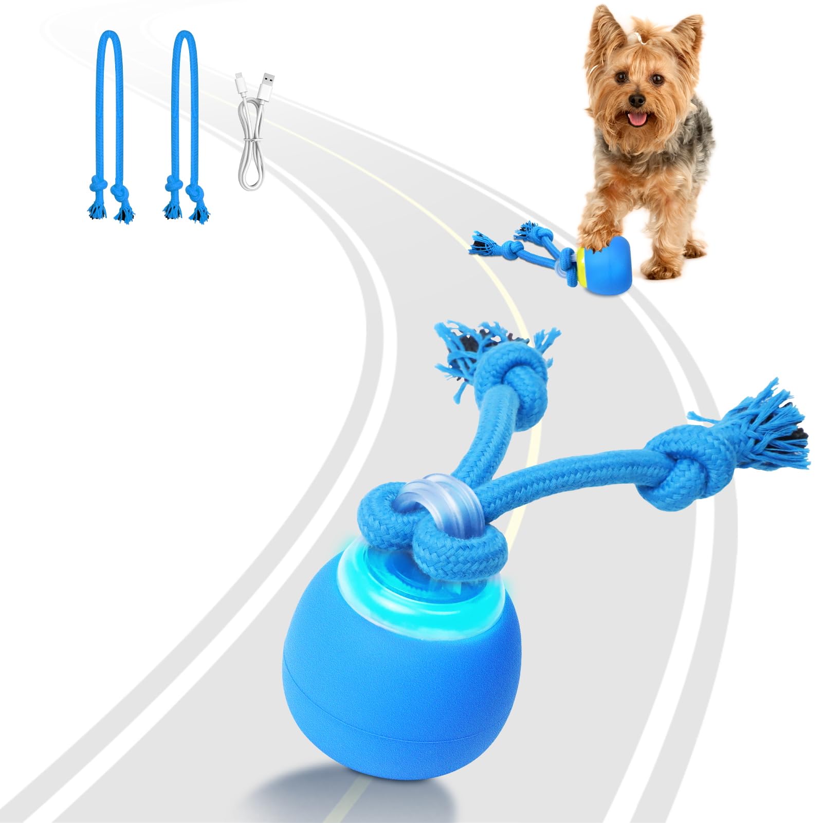 Interactive Dog Ball – Motion-Activated Toy for Small and Medium Dogs