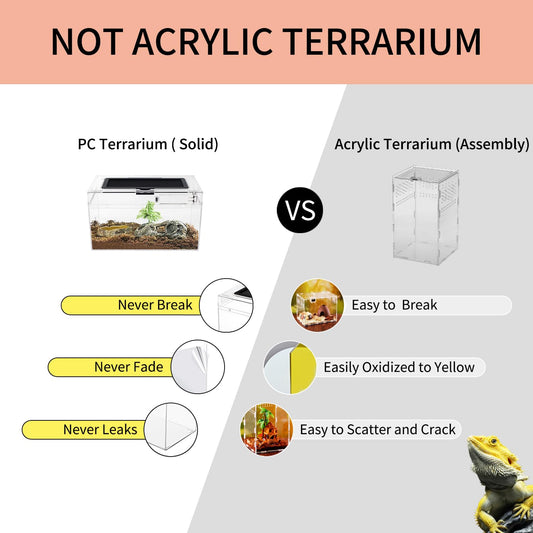 Mini Reptile Terrarium Set 12" x 7"x 6" for Fish, Reptile, and Insects