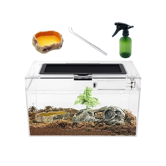 Mini Reptile Terrarium Set 12" x 7"x 6" for Fish, Reptile, and Insects