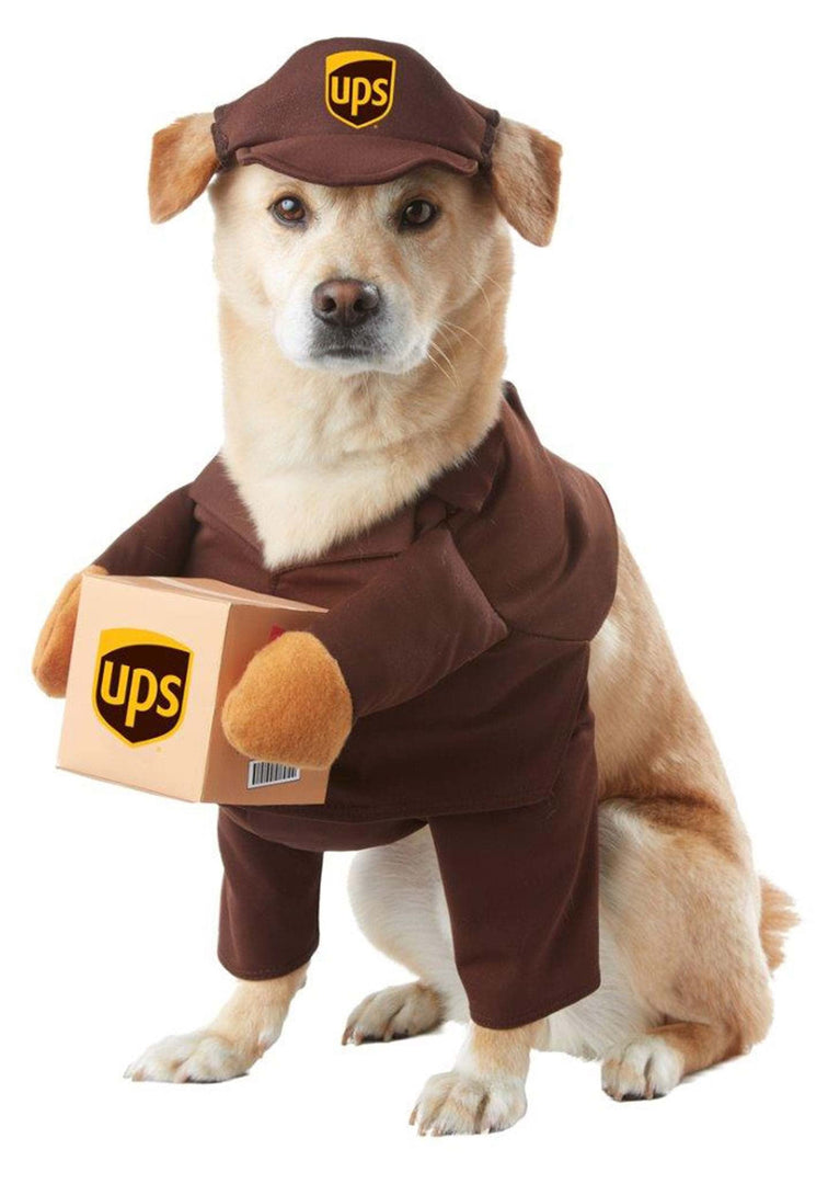 UPS Dog Costume - Medium