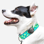 Load image into Gallery viewer, TagVault™ AirTag Dog Collar Mount - IP69 Waterproof, Doesn&#39;t Dangle, Fits All Width Collars
