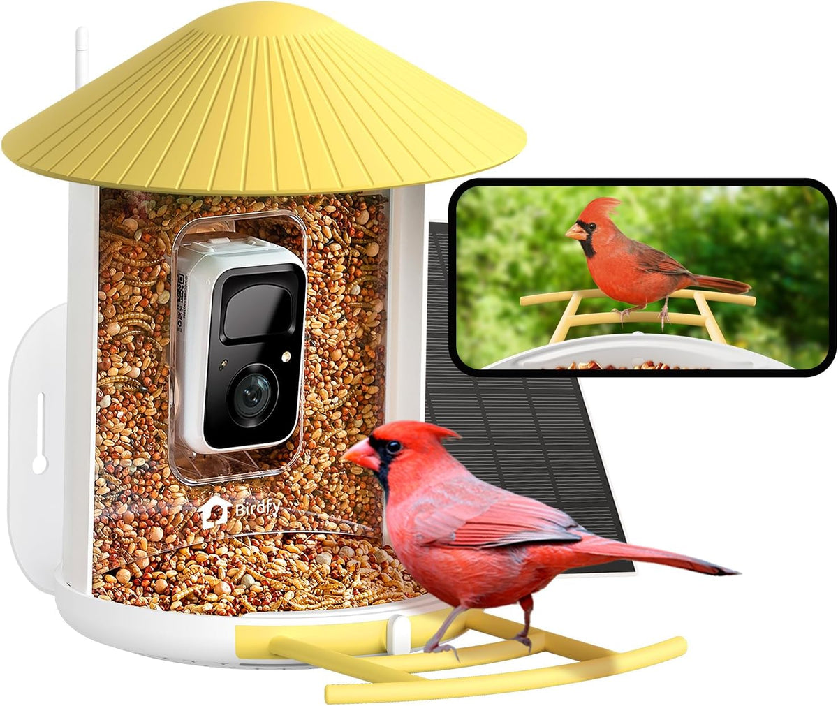 NETVUE by Birdfy Smart Bird Feeder With 2K Camera (Solar) — Watch Every Visitor From Your Phone