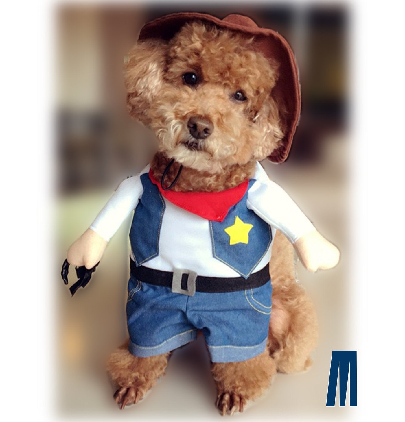 Pet Cowboy Costume with Hat – Perfect for Halloween, Parties & Fun Photos.