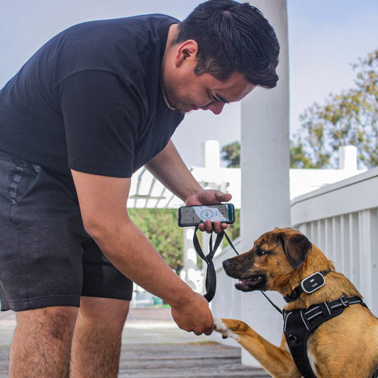 Waterproof Link GPS Dog Tracker & Activity Monitor - Essential Training Tools and Health Tracker for Dogs.