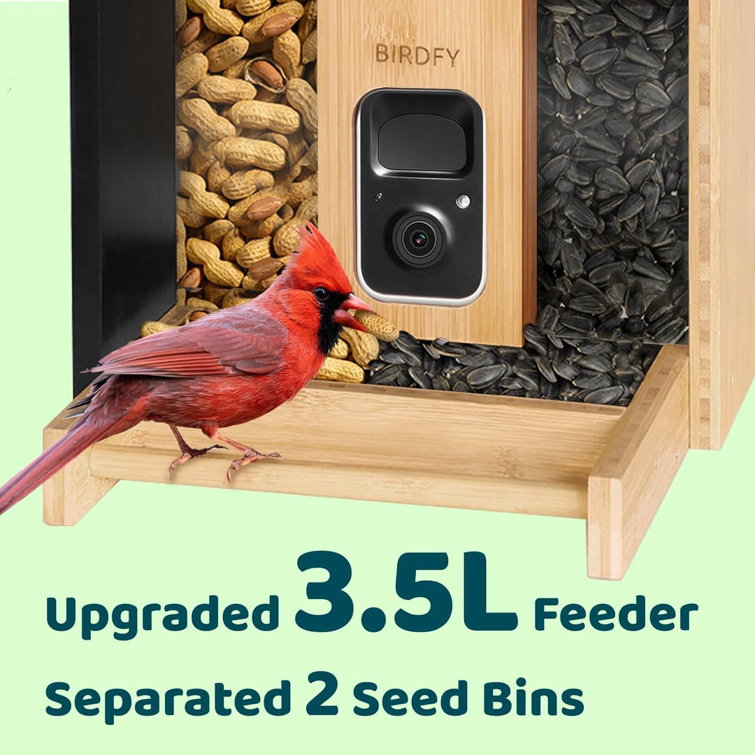 Sustainable bamboo bird feeder with AI-powered bird species identification