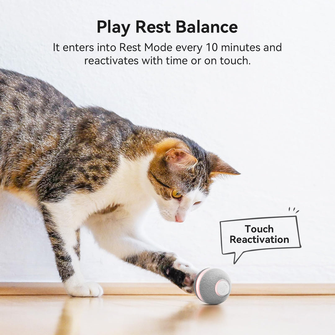 Smart Interactive Automatic Cat Toy for Cat or Kittenbwith Lights and Bell-Grey