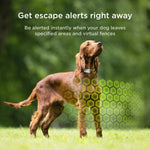 Load image into Gallery viewer, Petcube GPS Tracker | Escape and Virtual Fences Alerts -Wellness Monitoring, Glows in a Dark, Water Dust Proof
