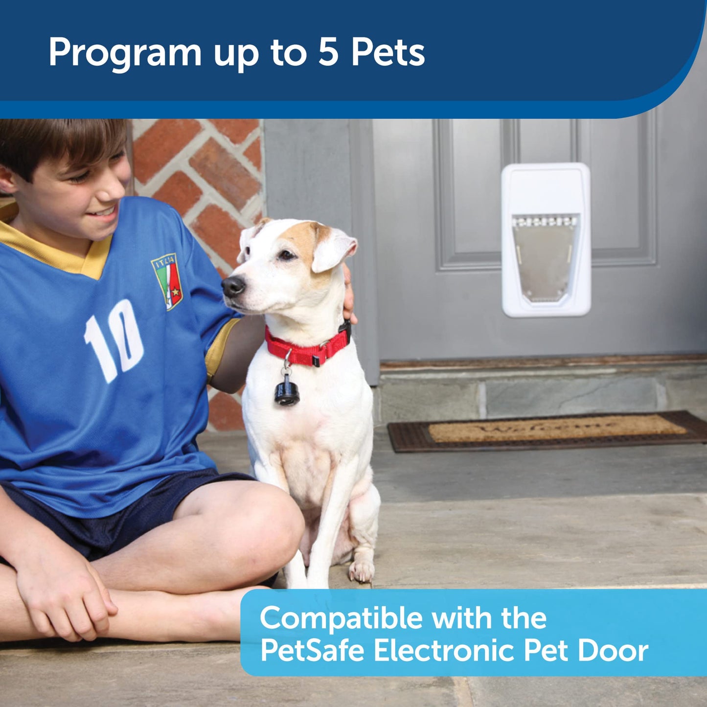 PetSafe SmartKey for SmartDoor - Add More Pets, Fits Collar Tags